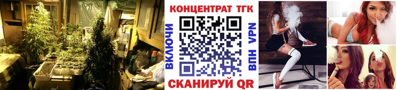 Купить закладки  Белово  ТГК жижа 