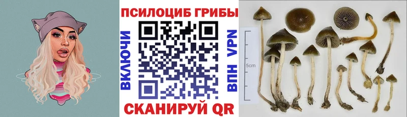 Купить закладки  Белово  Галлюциногенные грибы мухоморы 